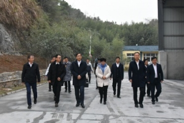 中國建材集團黨委書記、董事長周育先調研巨石九江鈣業(yè)公司
